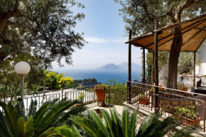 Incanto su Capri - Capri view apartment